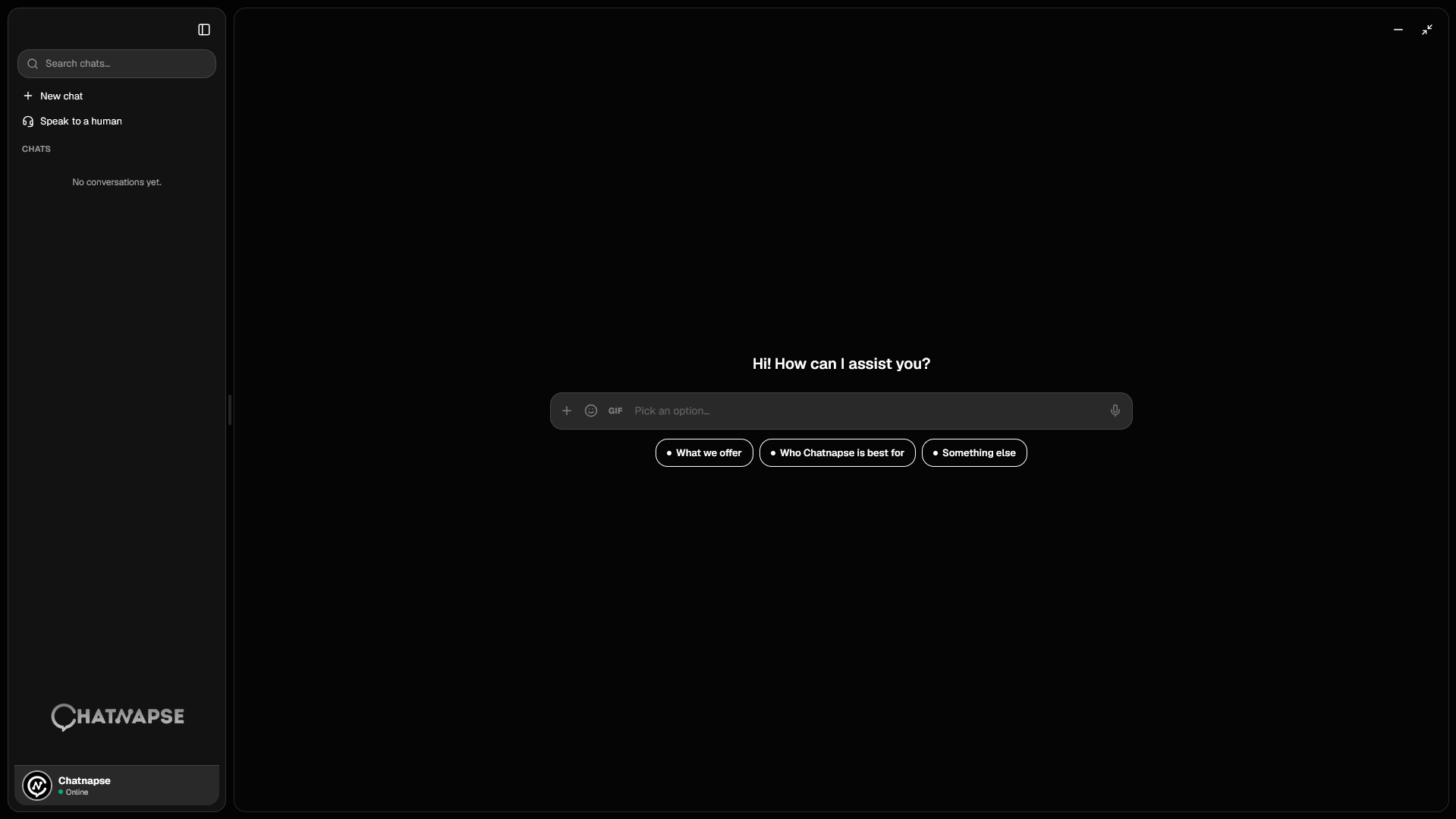 The Chatnapse fullscreen assistant workspace